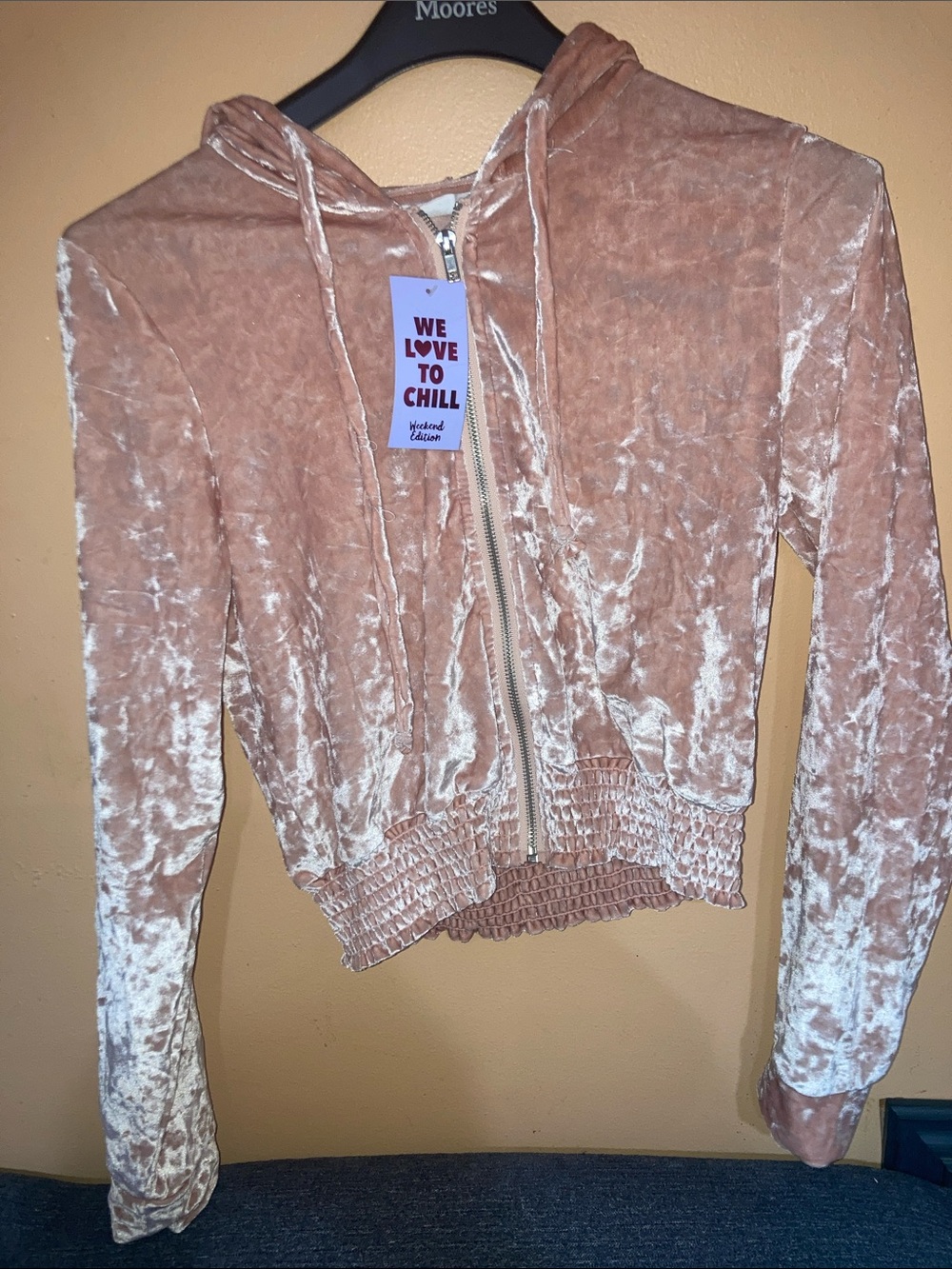 Velvet Zip-Front Hoodie Jacket - Blush Pink